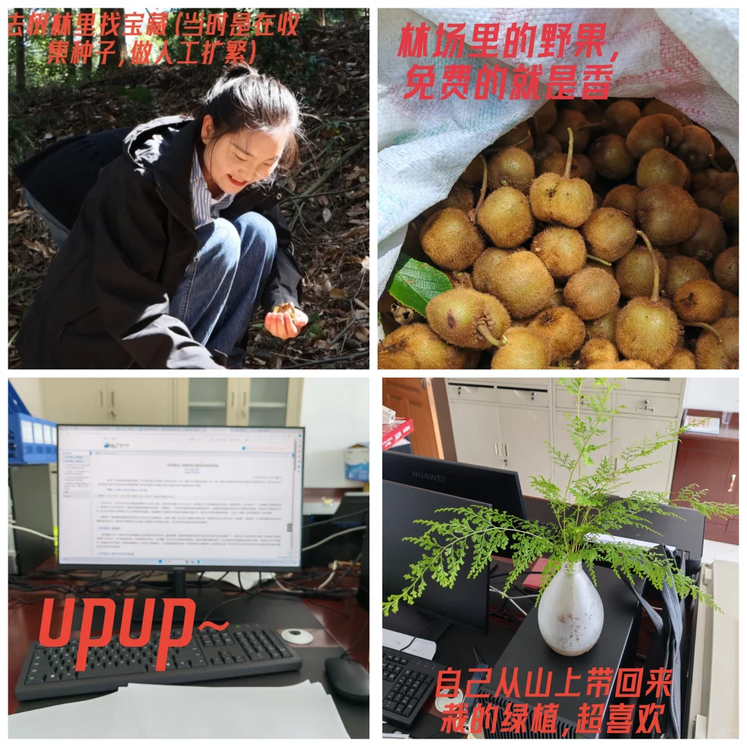 211硕士在异地乡镇林场工作日记