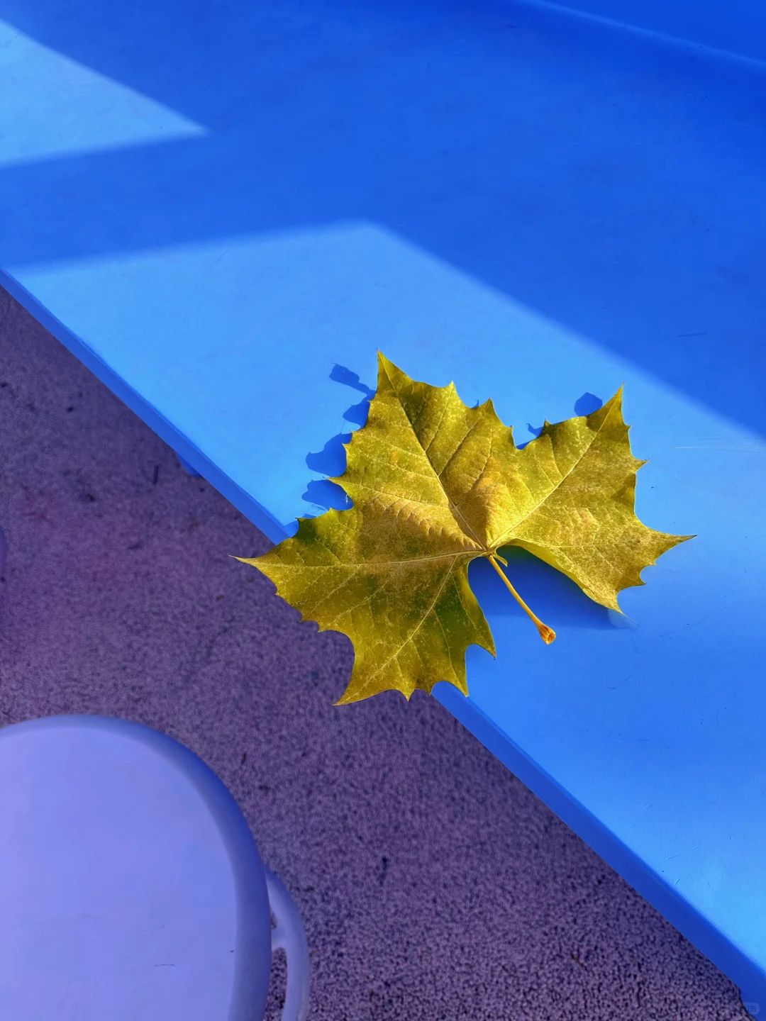 谁懂这家店的柠檬水?！