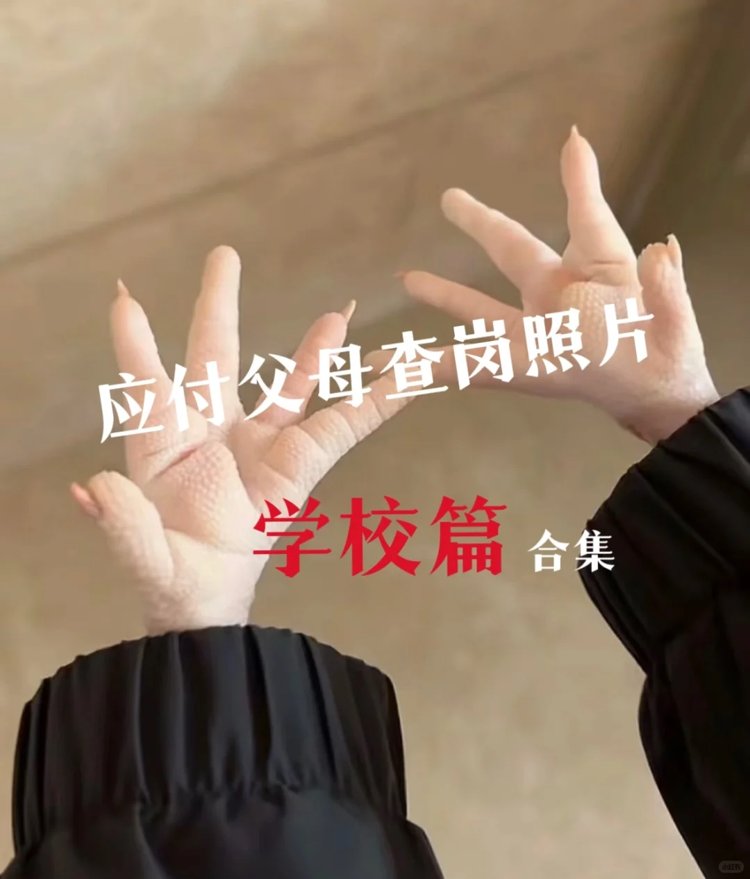 可以应付父母的查岗图（学校篇）