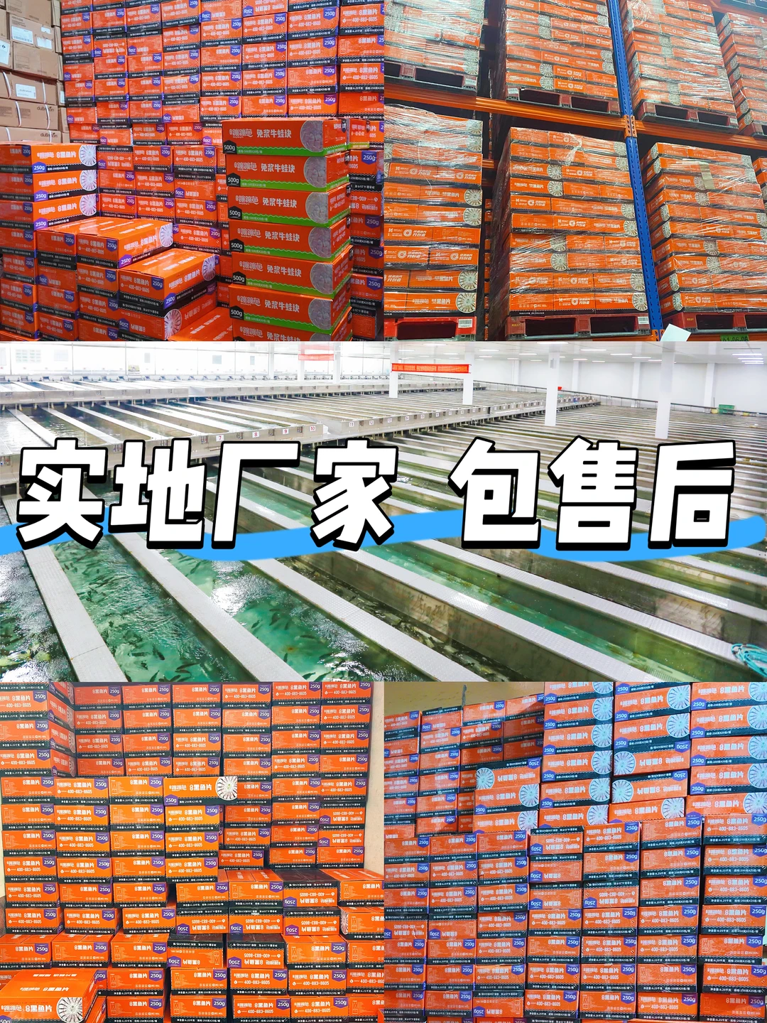 采购黑鱼片怕踩雷？我发现源头宝藏工厂了！