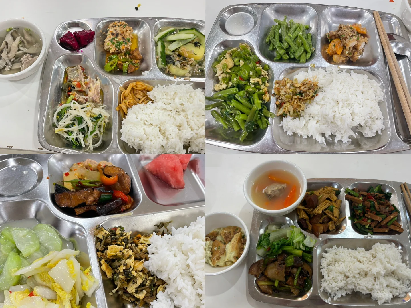 研一女勇闯林业局实习 都摸了哪些鱼