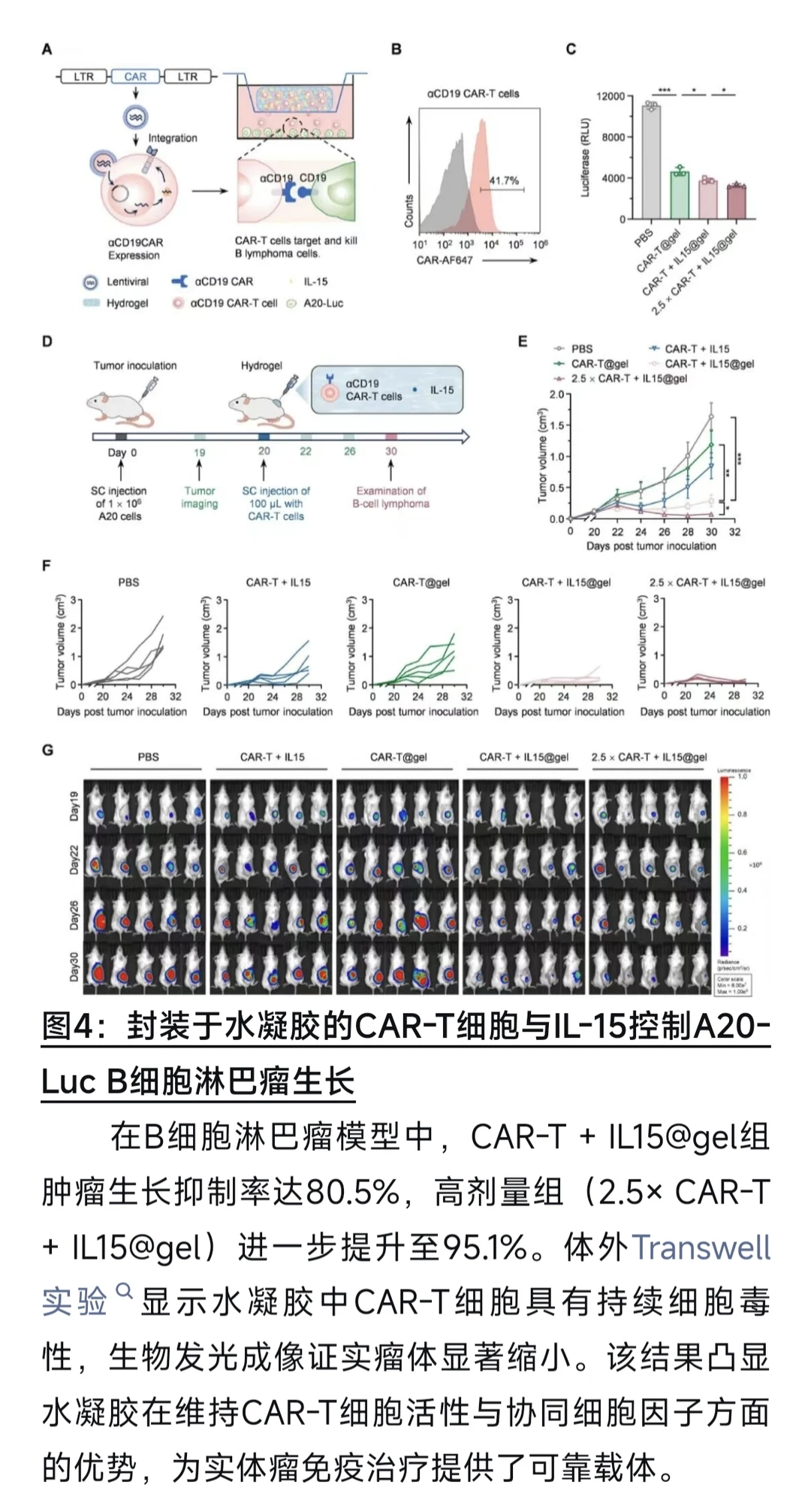 【Materials Today Bio】超分子水凝胶递送