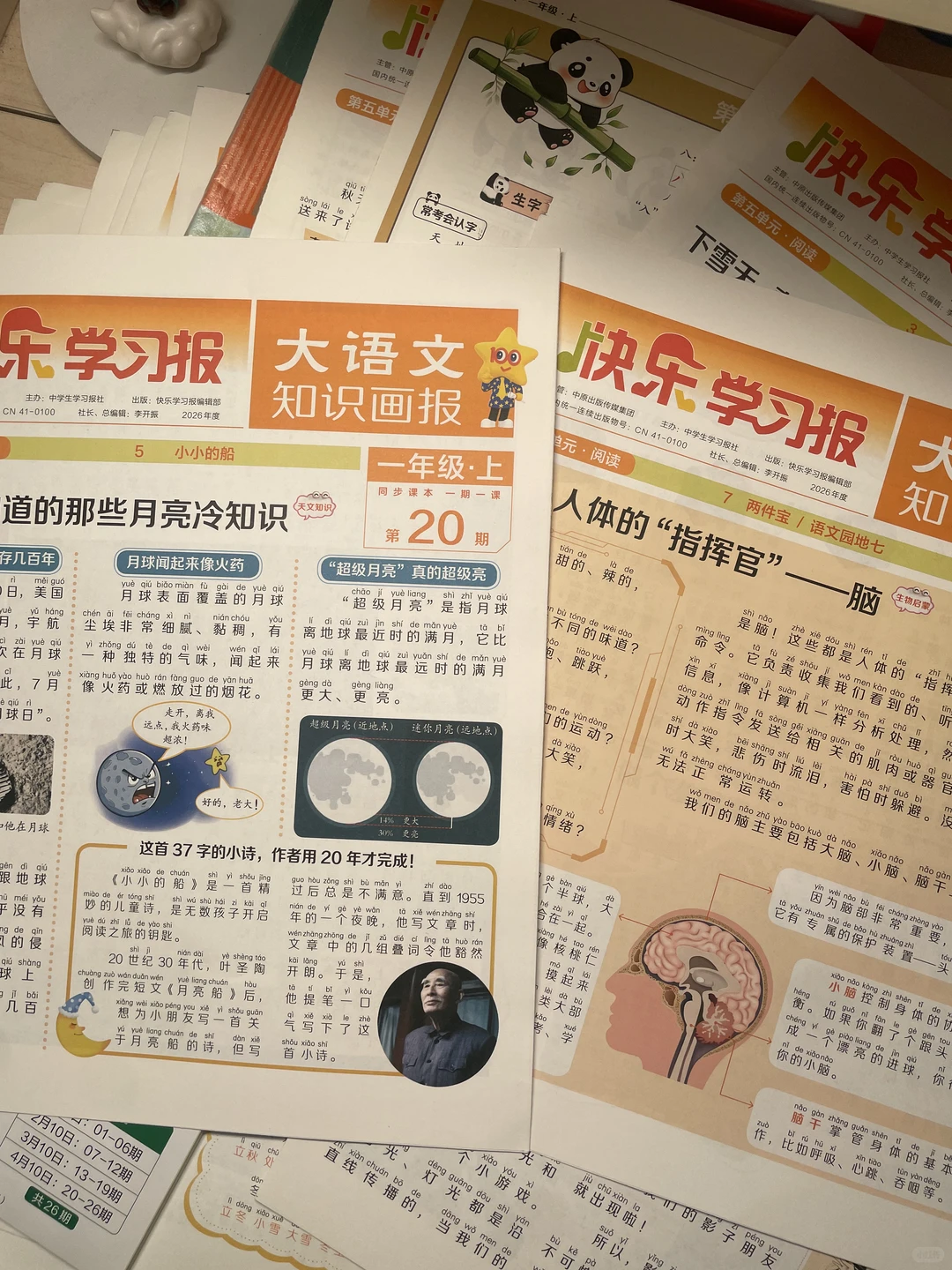 一年级小学生 语文阅读拓展