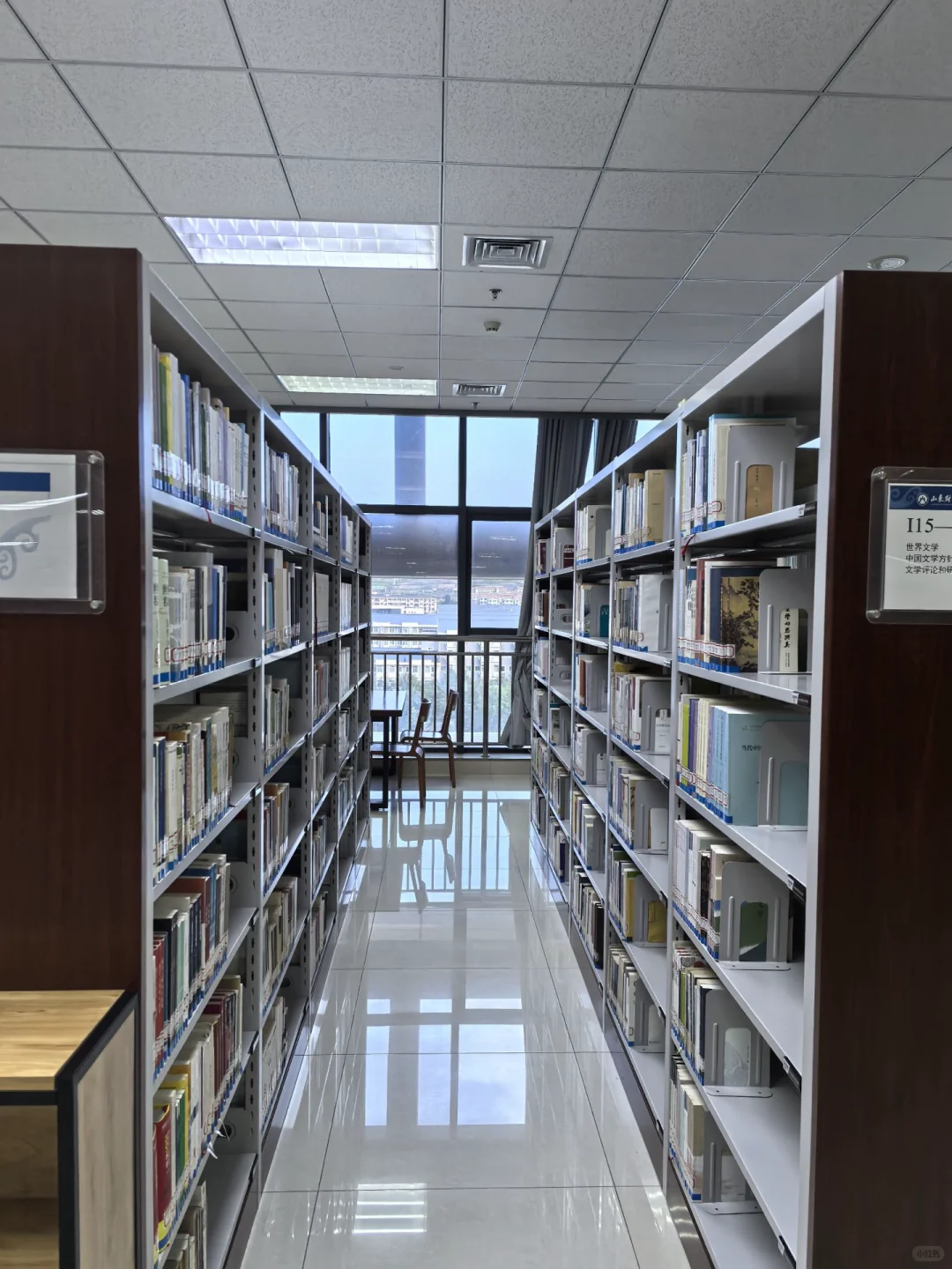 我在圣井度过的这些日子3⃣️——图书馆