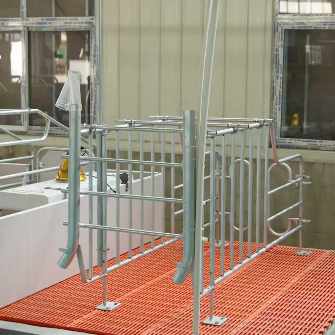 养殖设备一站式采购：养猪场定位栏