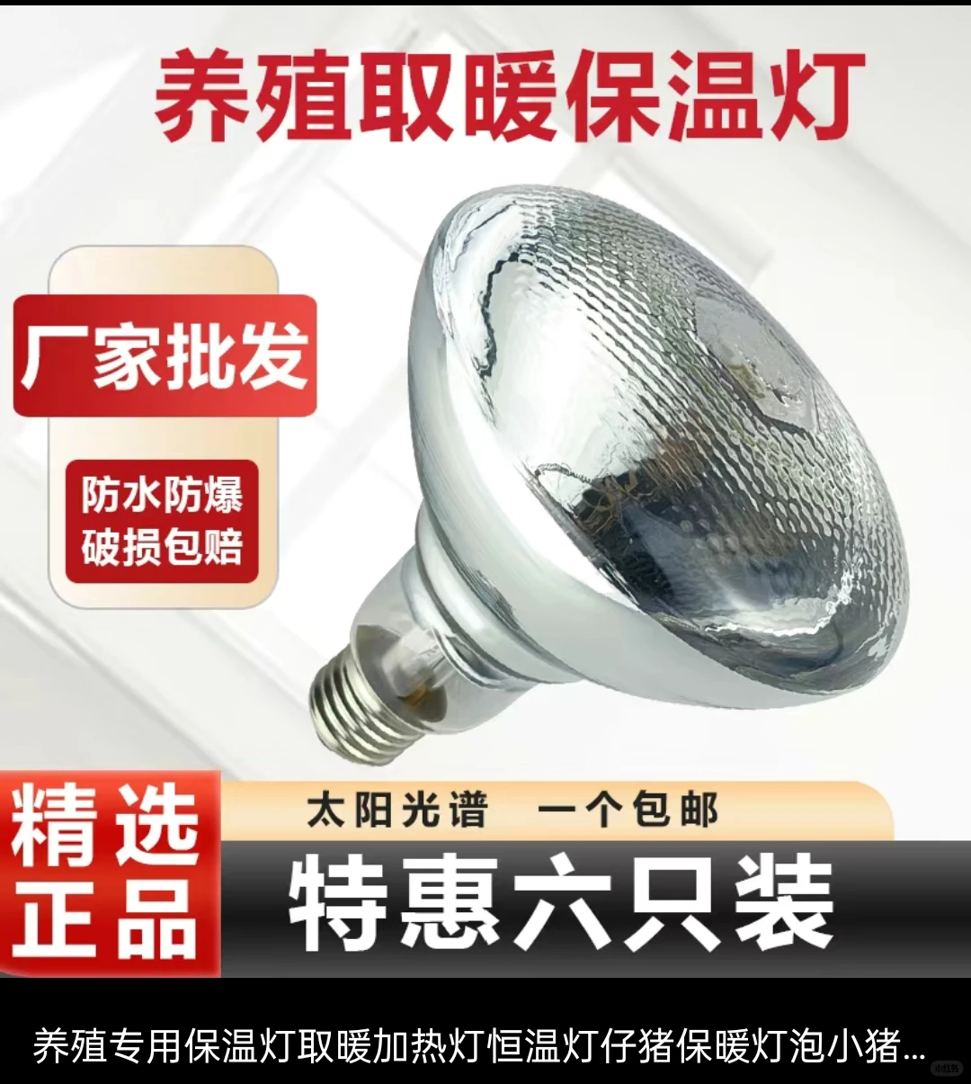 养小鸡新手攻略