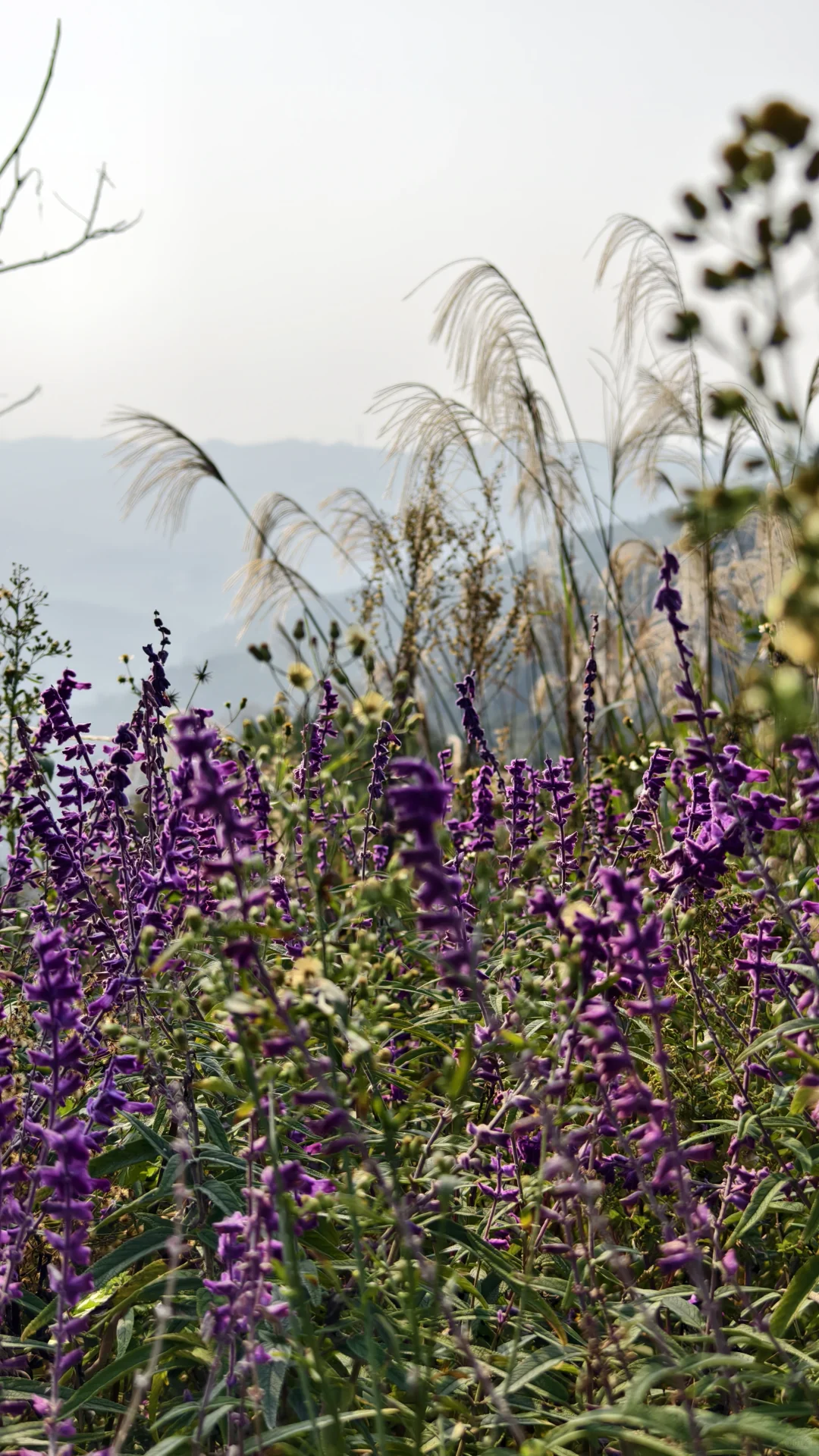 每周一山?成都南门不费腿亲子徒步路线