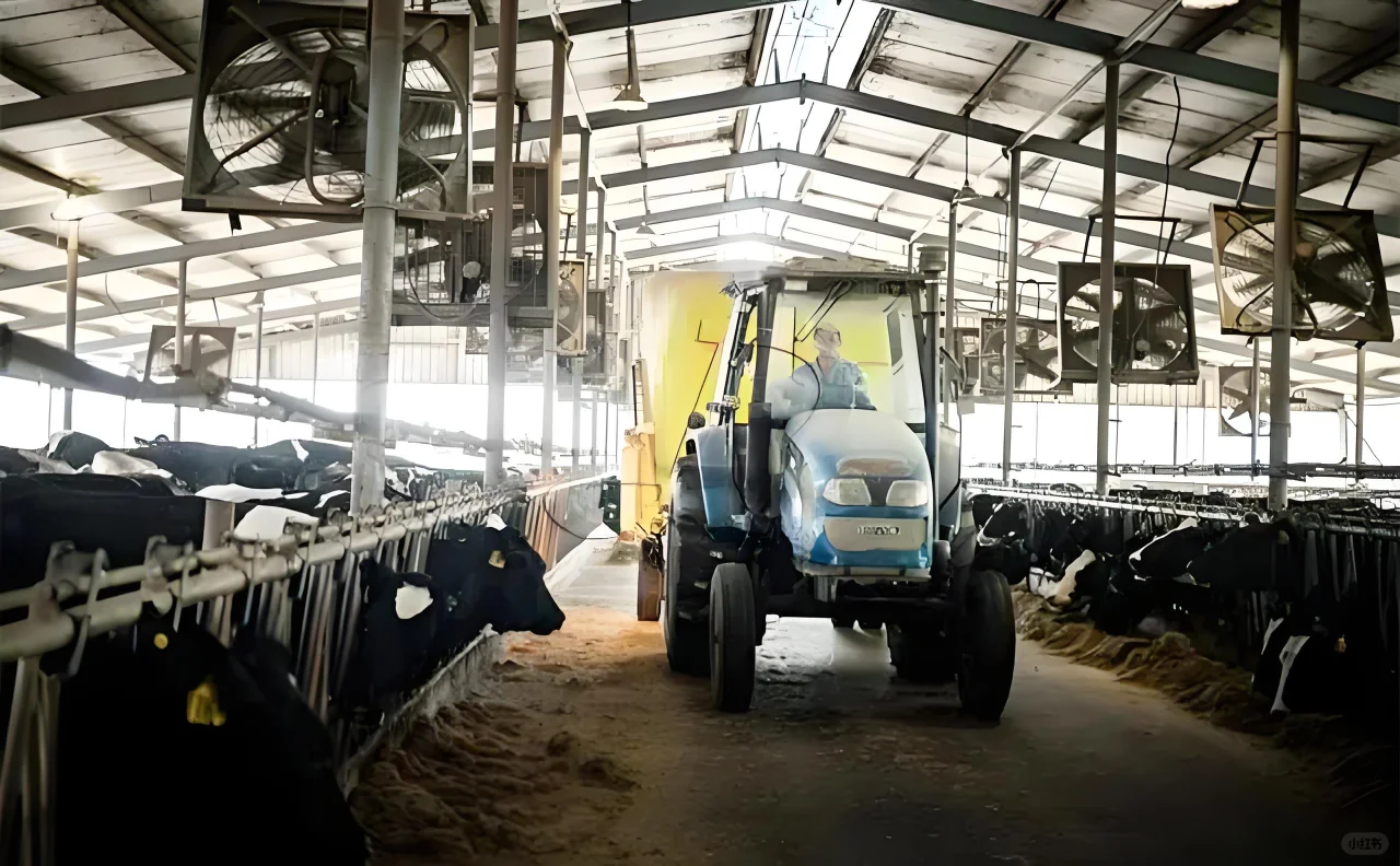 养牛人如何正确选择适合自己牛场的TMR？