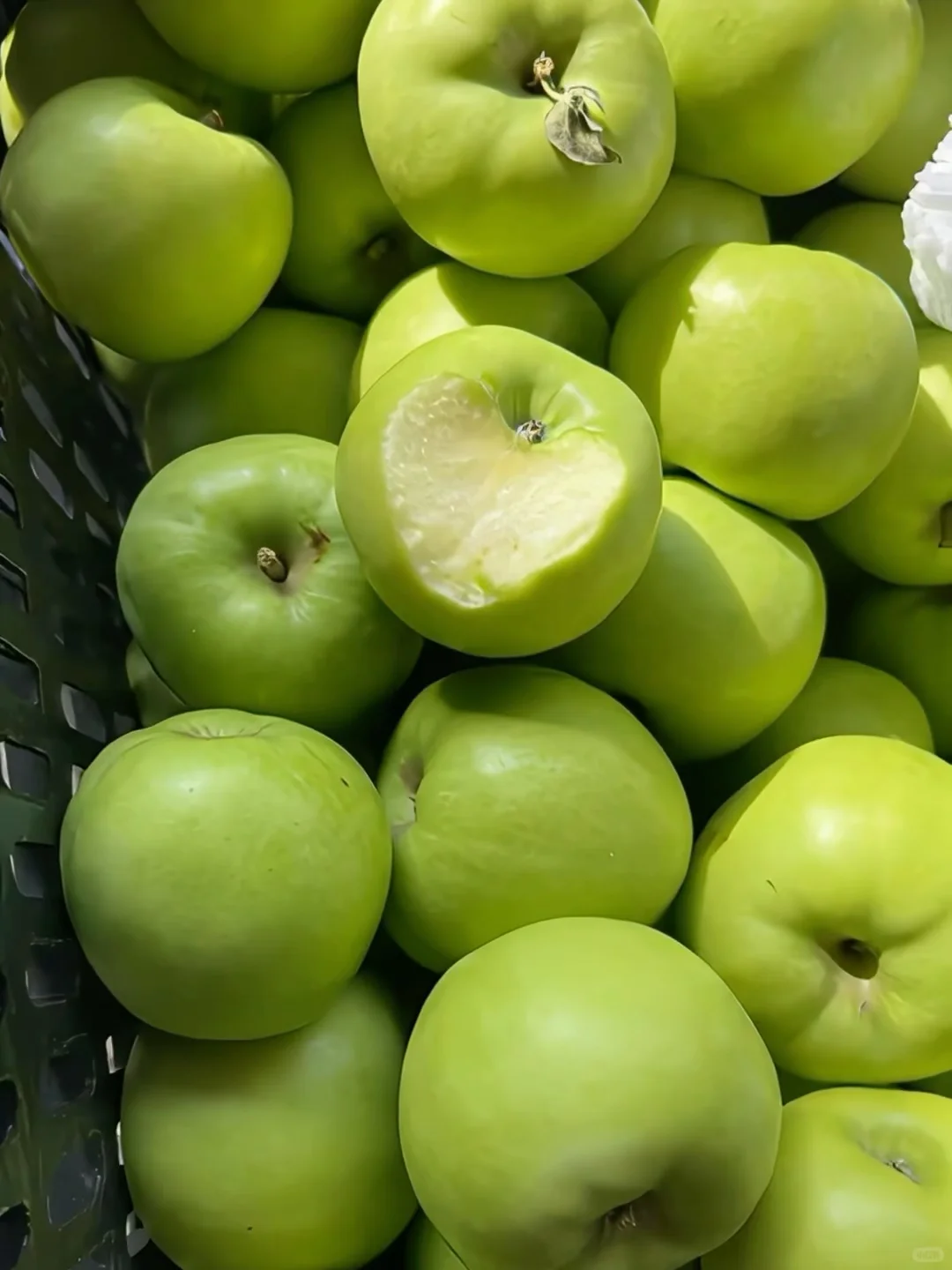 一口沦陷，这颗青苹果简直是夏日解腻神器