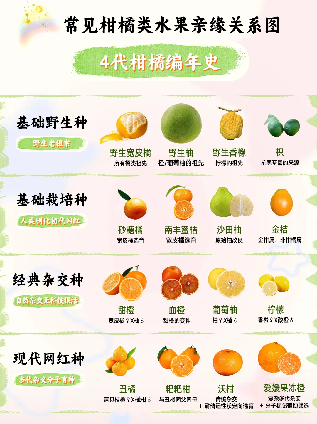 猜柑橘类型，猜柑橘关系