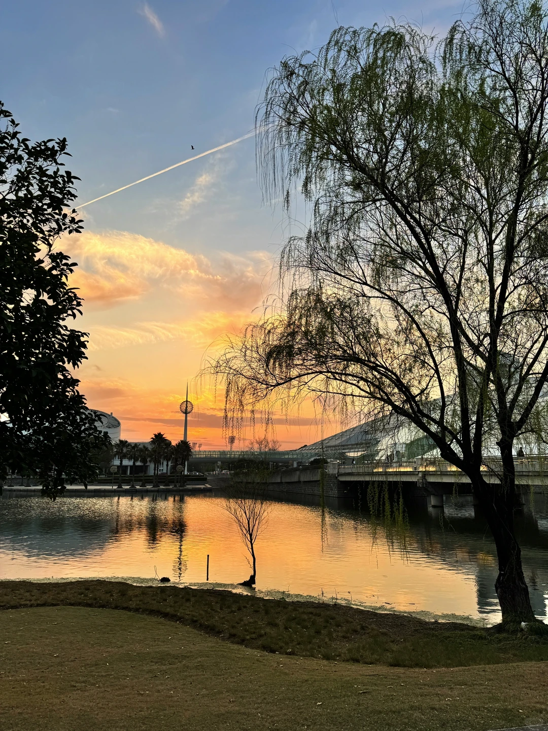 喜欢浙大的漂亮图书馆