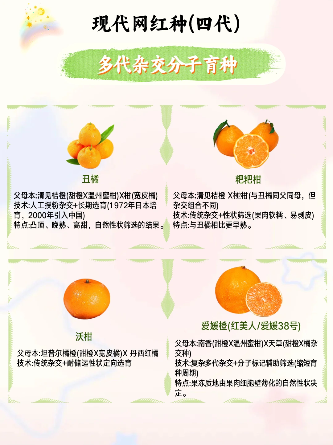 猜柑橘类型，猜柑橘关系