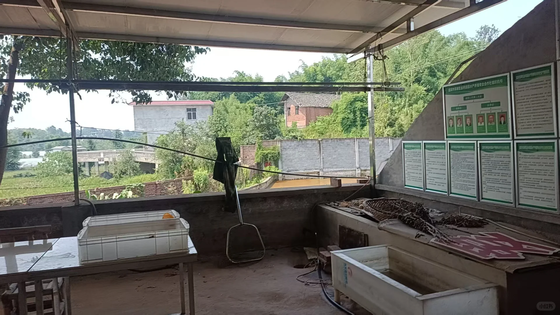 乡贤“养鳖人”：在宜宾李端，种出新模样鳖