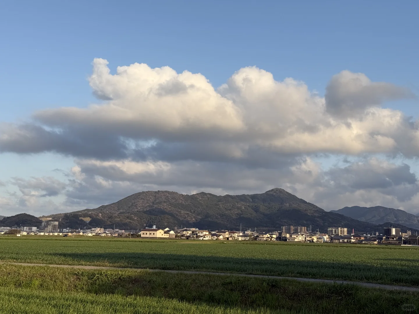 如何在日本做农业，你想问的我有系统方案