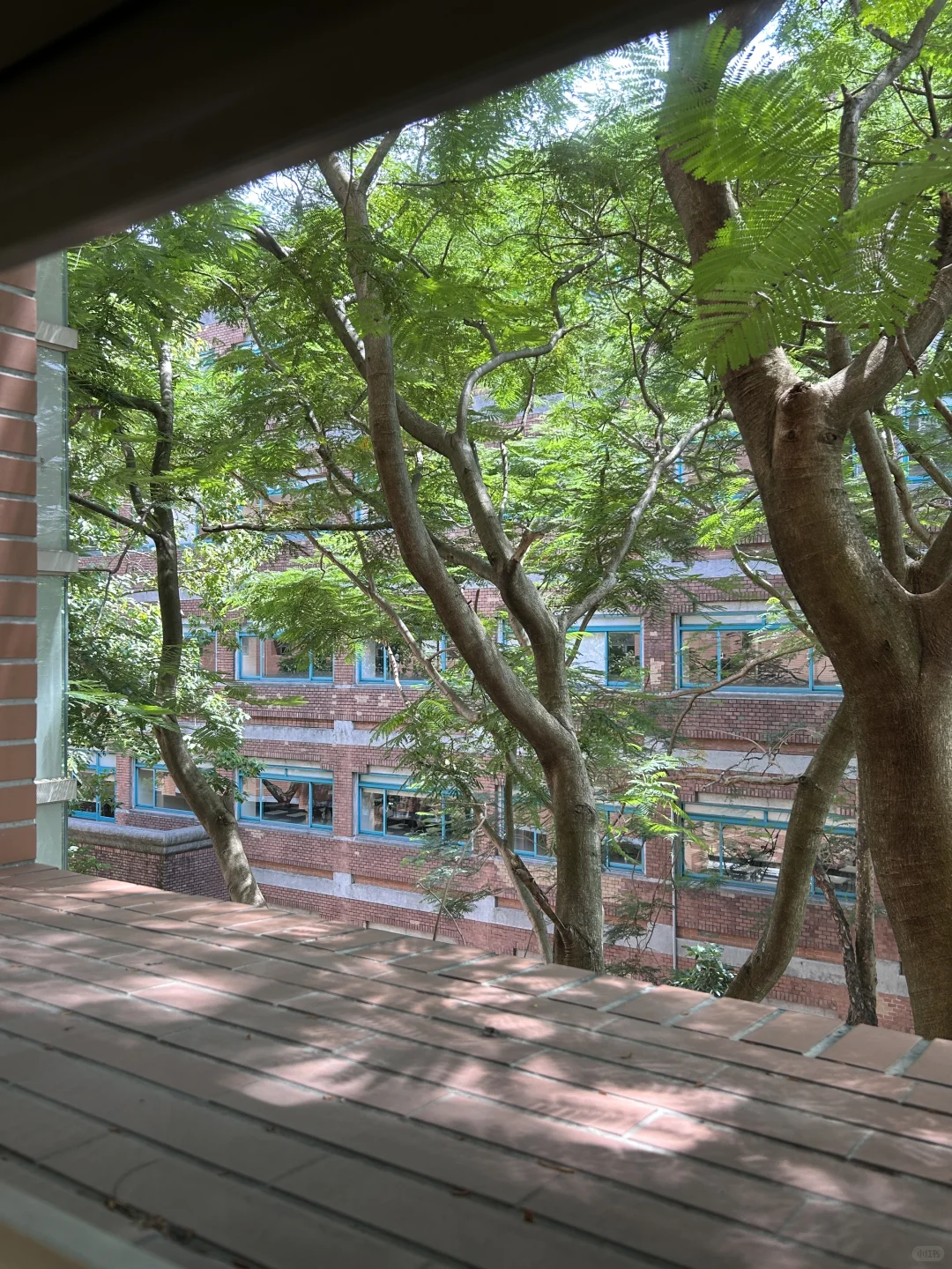 台湾交换｜台大图书馆泡馆指南