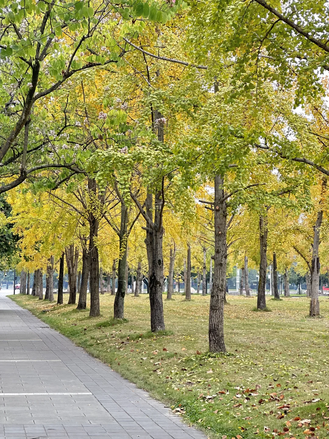 ?️才发现图书馆这么棒！เริ่ดเลยล่ะ!?