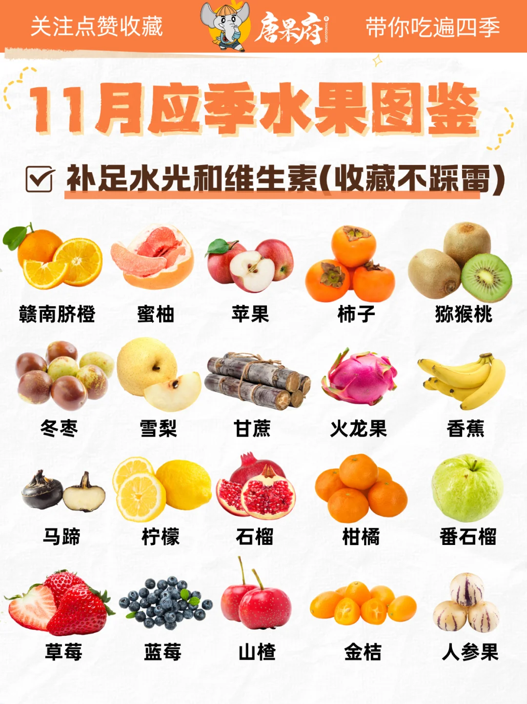 11月应季水果吃货地图?｜附柑橘挑选攻略
