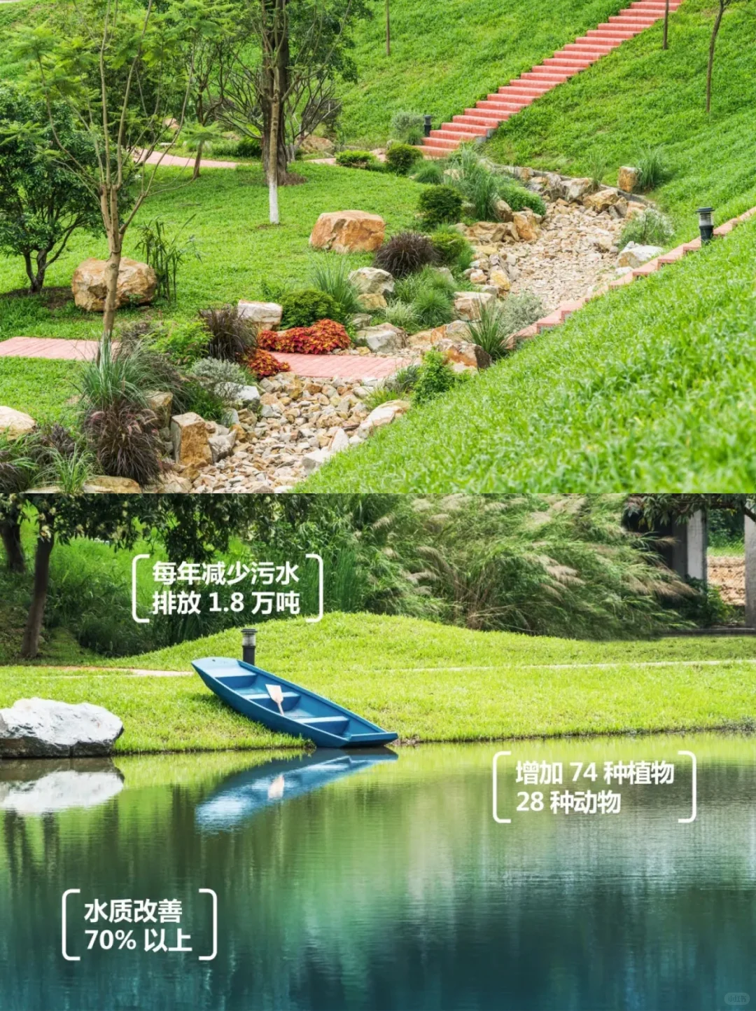 低本高效海绵方案：广东清远飞来峡海绵公园