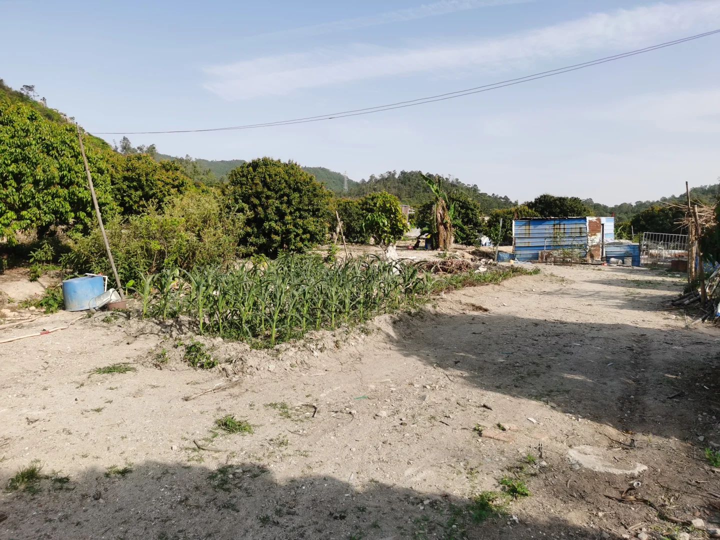 低成本养殖咋起步？2亩7000场地告诉你