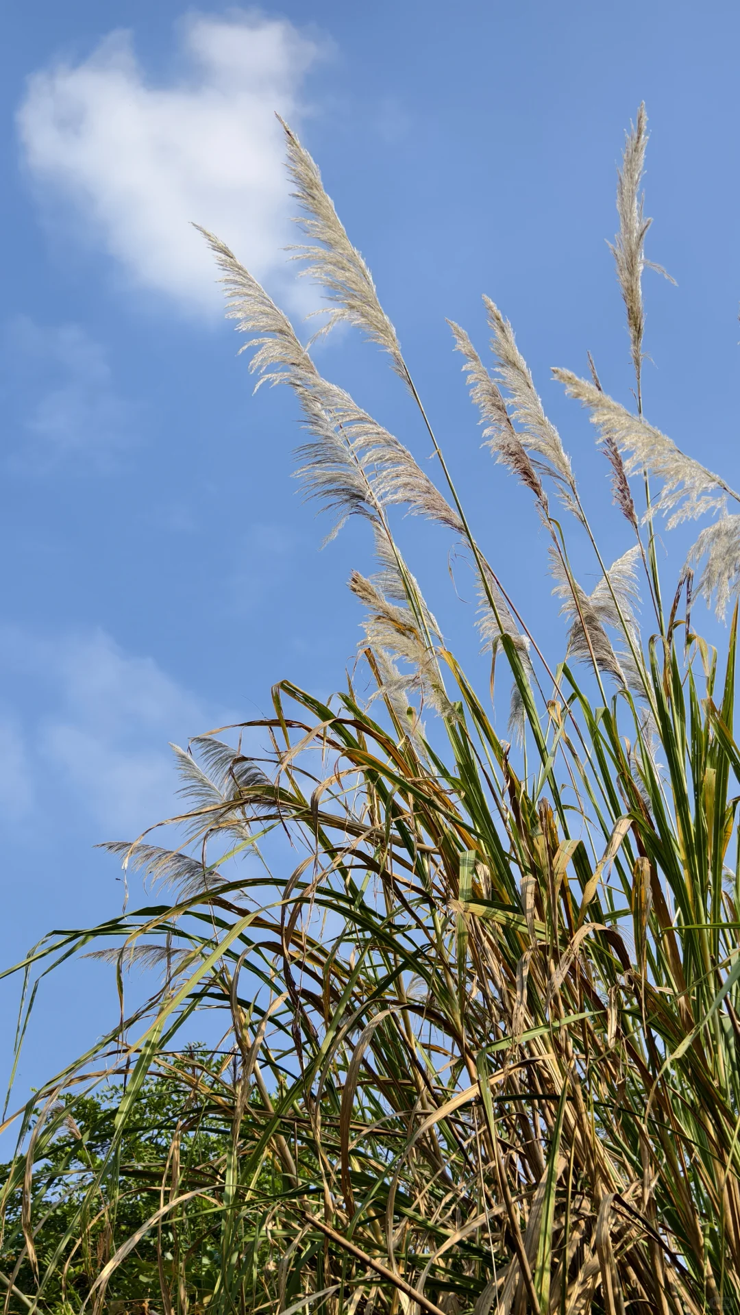 每周一山?成都南门不费腿亲子徒步路线