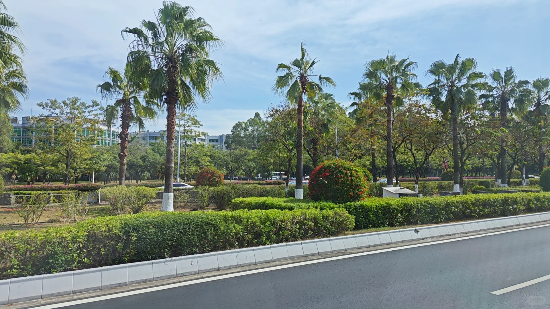 第十三届环境化学大会有什么❓