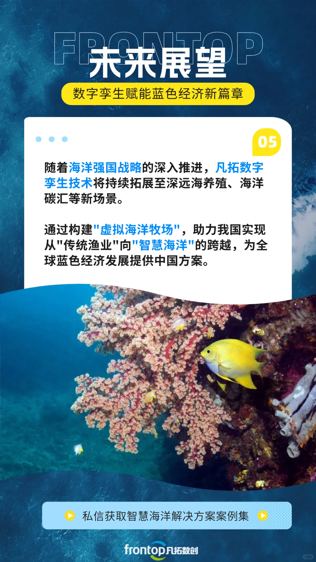深海养鱼用上黑科技！数字孪生遇上海洋牧场