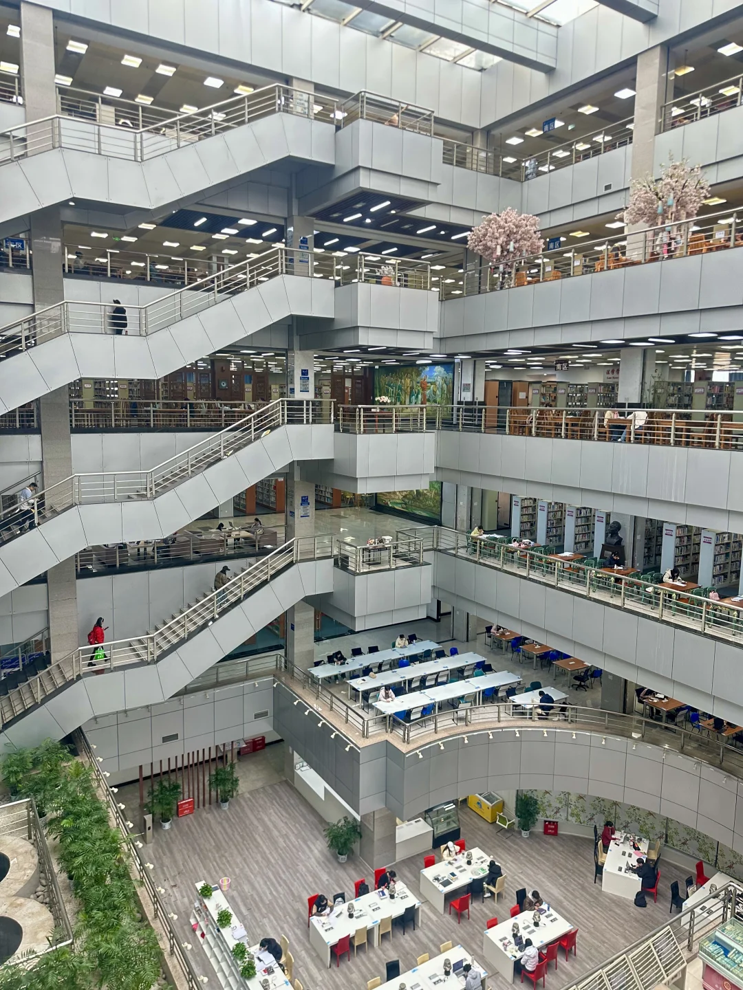 ?️才发现图书馆这么棒！เริ่ดเลยล่ะ!?