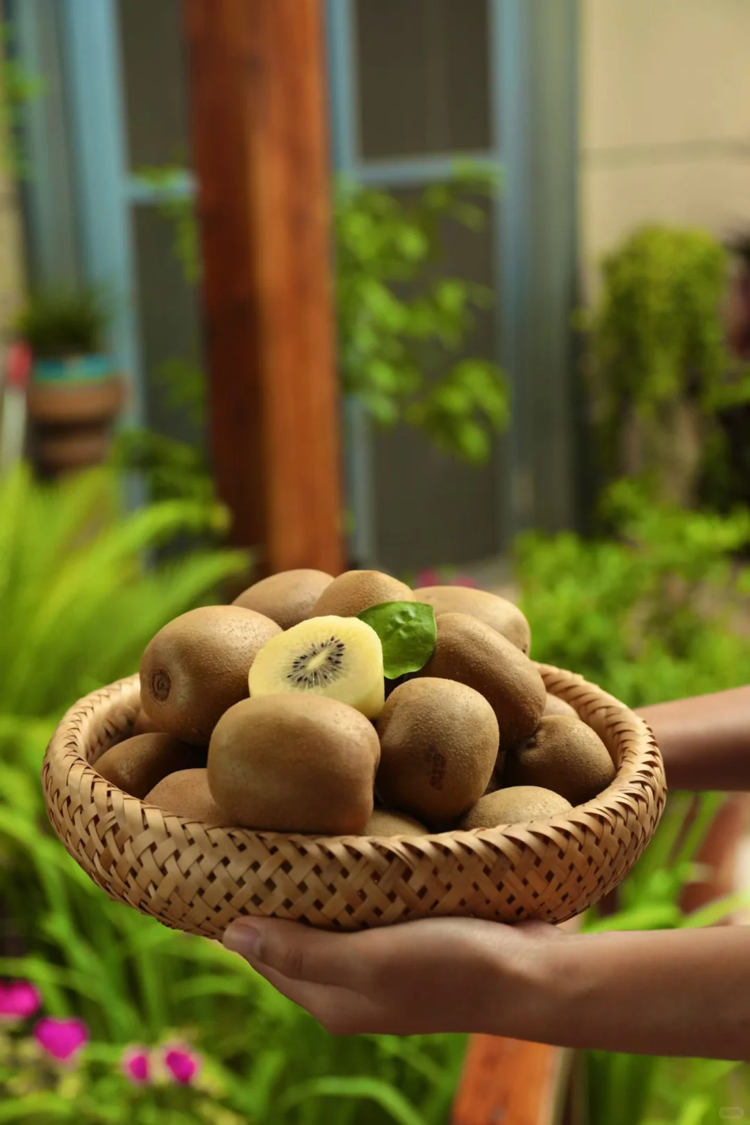 水果种植户来打破信息差