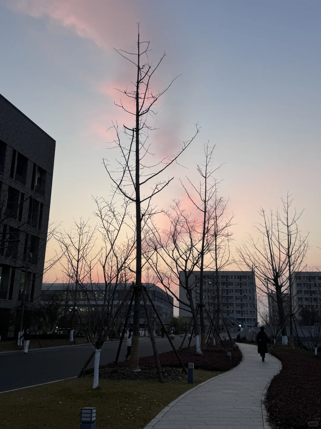 期末周每天都哄自己来图书馆