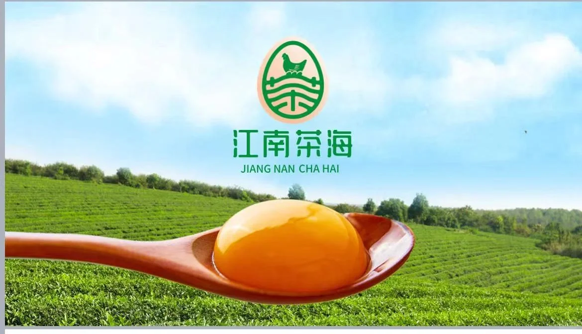 全自动化蛋鸡场设备安装中，2024年3月投产