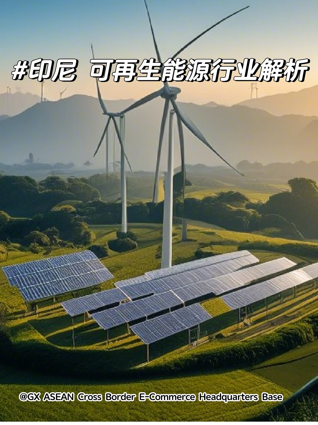 印尼对可再生能源的发展的支持和政策✅