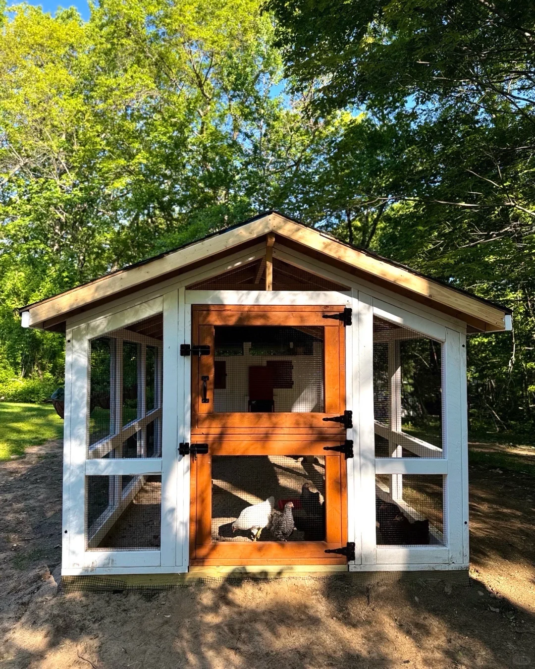 养鸡人必看！鸡舍设计分享