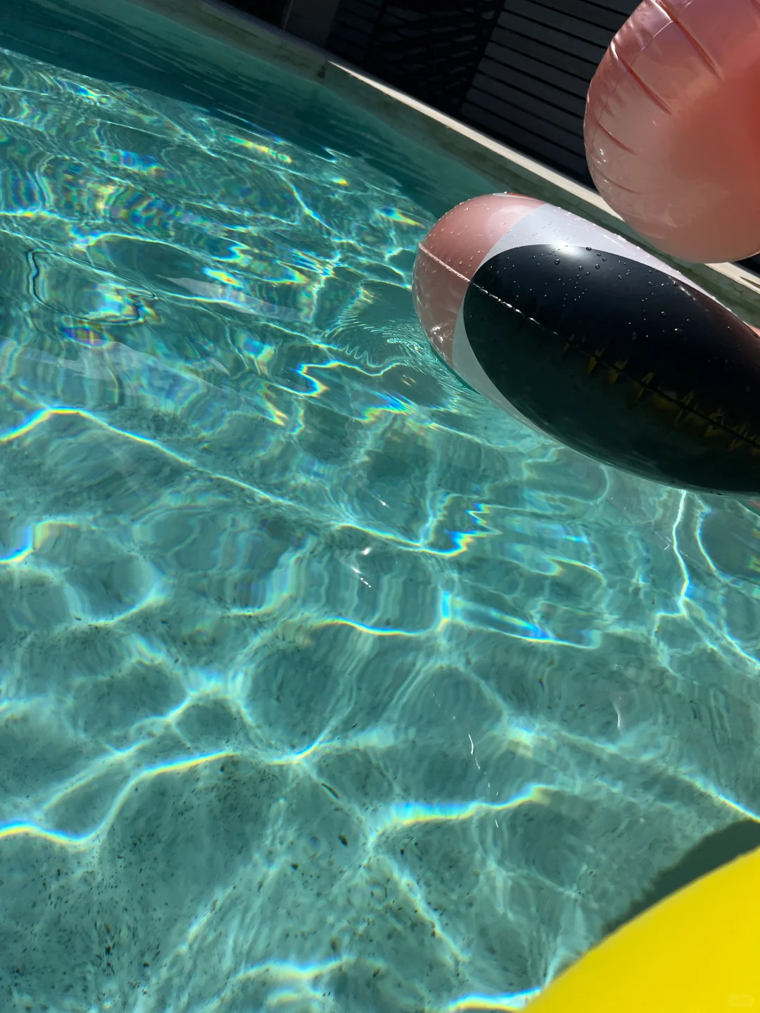 澳洲后院泳池自救计划(一)