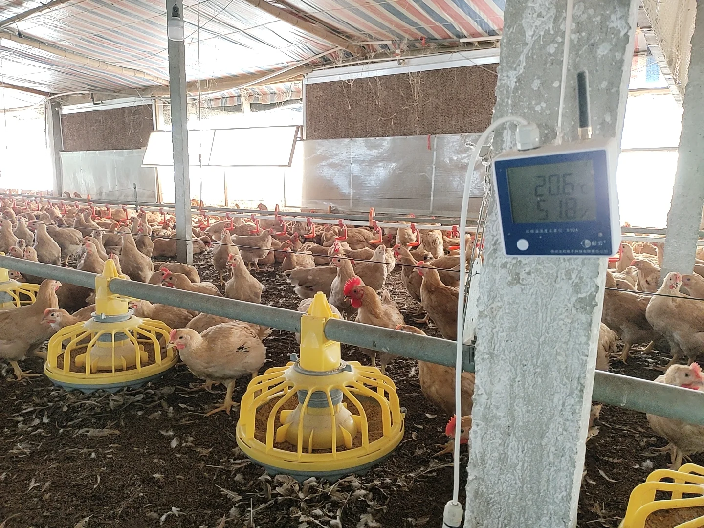 养殖场必备神器曝光！