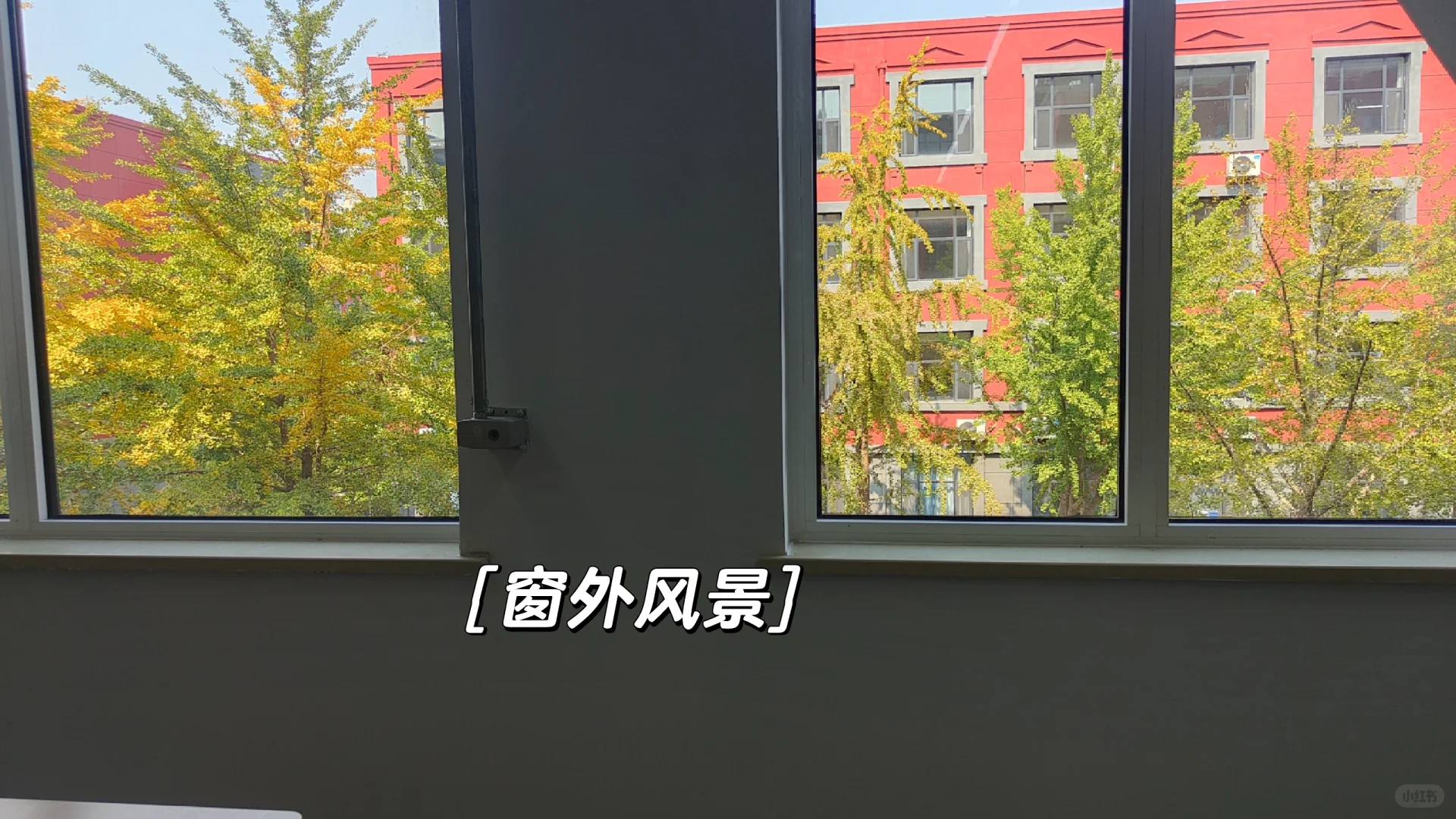 打卡河北东方学院图书馆