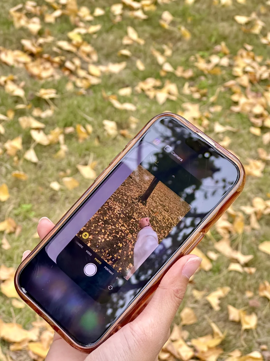 ?️才发现图书馆这么棒！เริ่ดเลยล่ะ!?