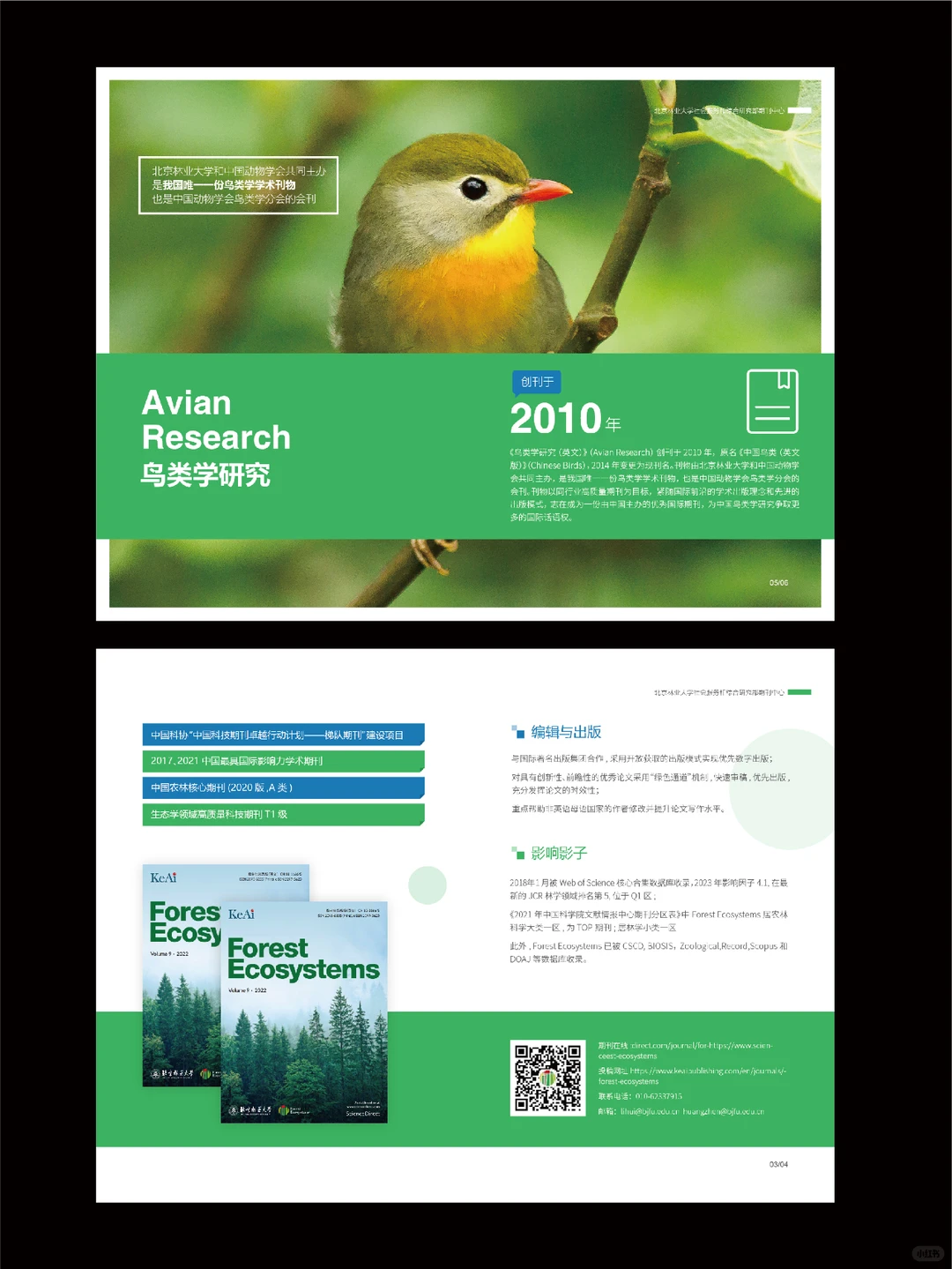 一抹蓝绿? 探秘北林大期刊? 蓝绿风暴