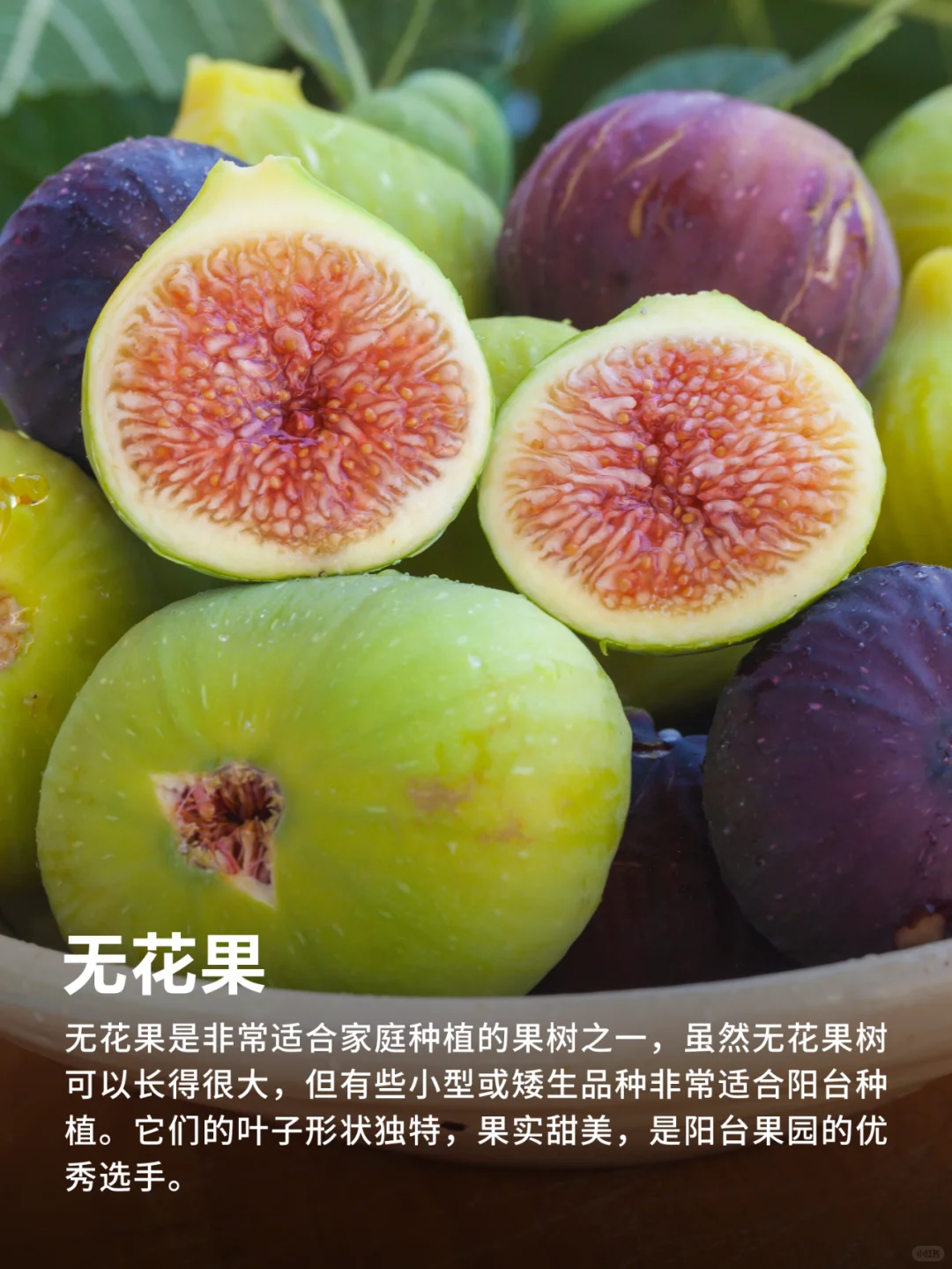 有阳台就能种的9种水果❗实现水果自由‼