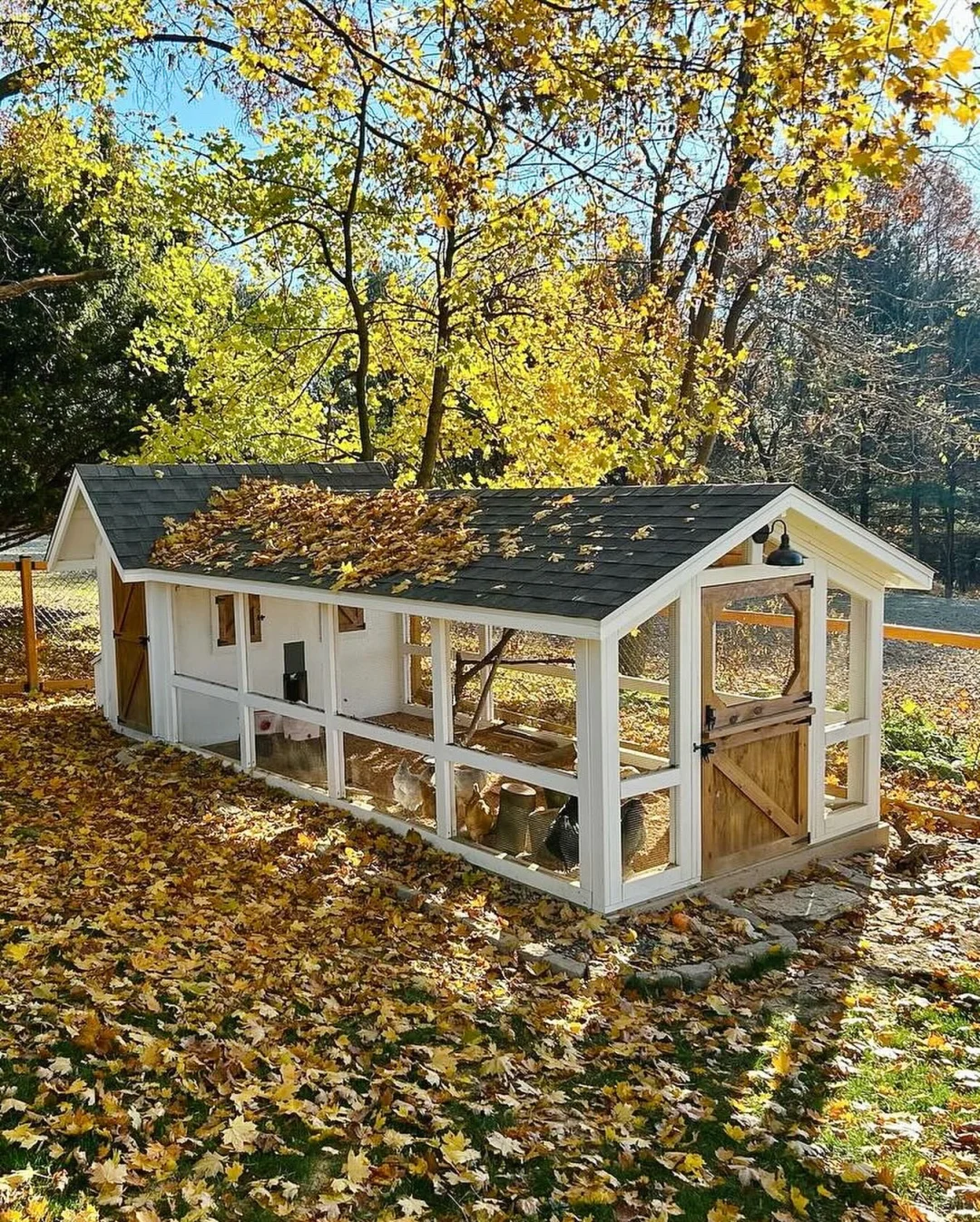 养鸡人必看！鸡舍设计分享