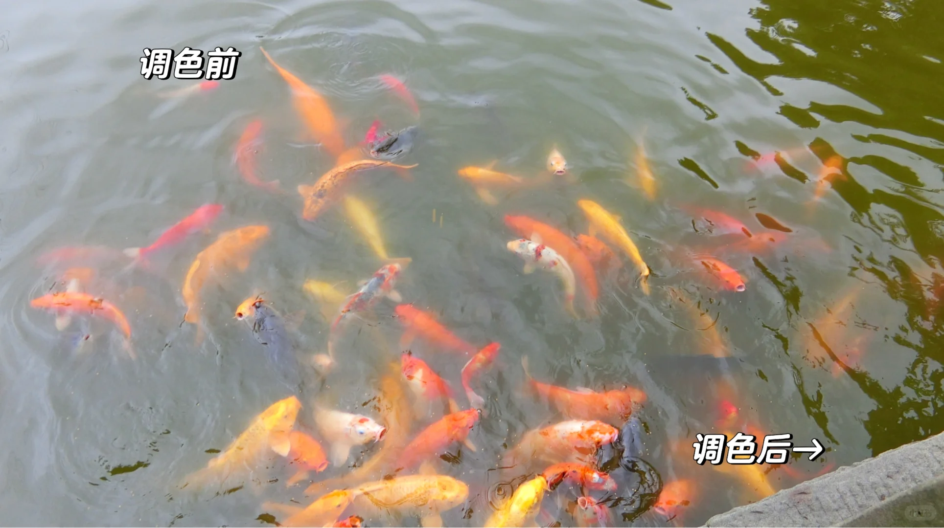 拍的池塘或者小溪很浑浊怎么办？看这里