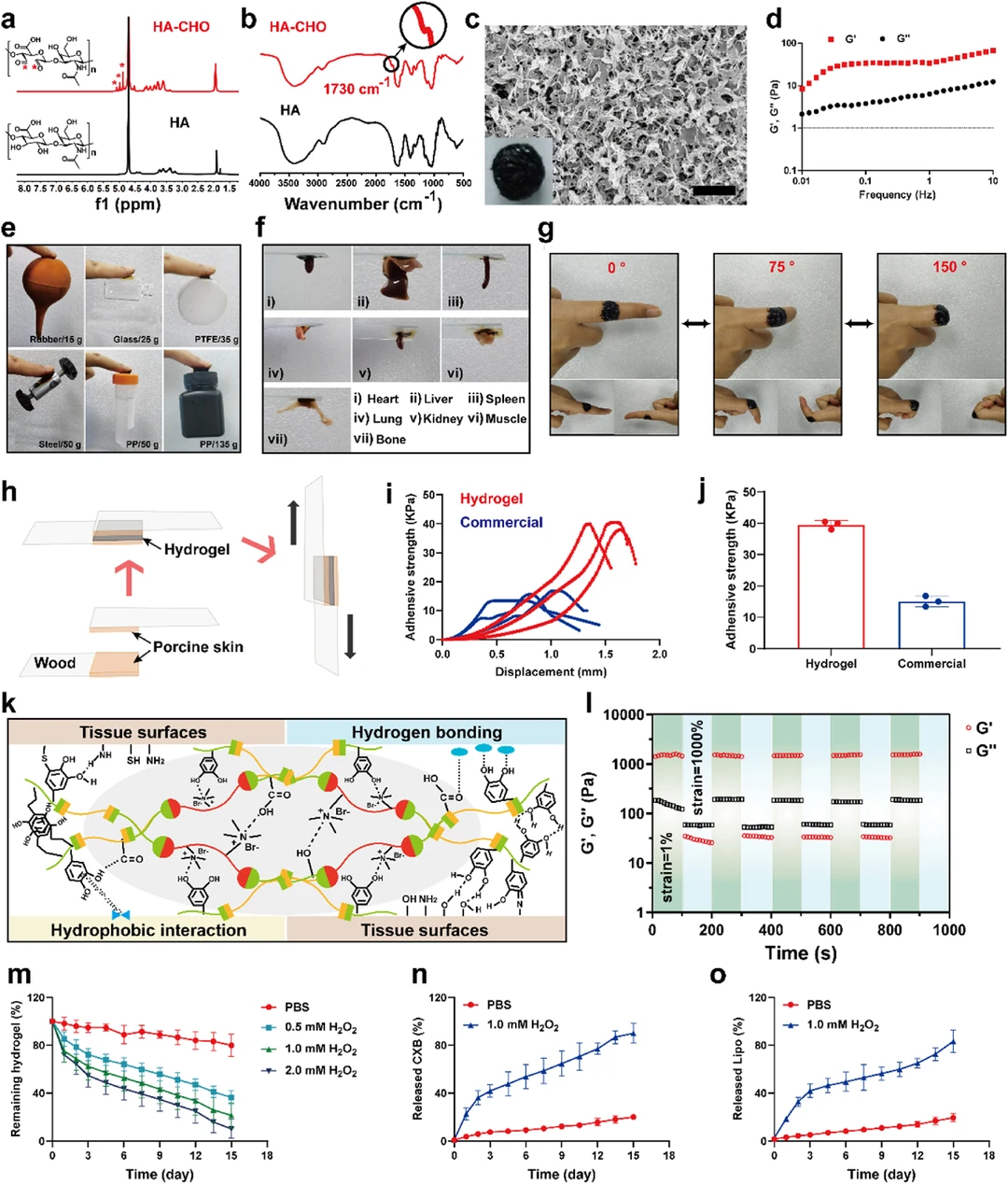 多功能水凝胶：肥胖相关肿瘤&免疫