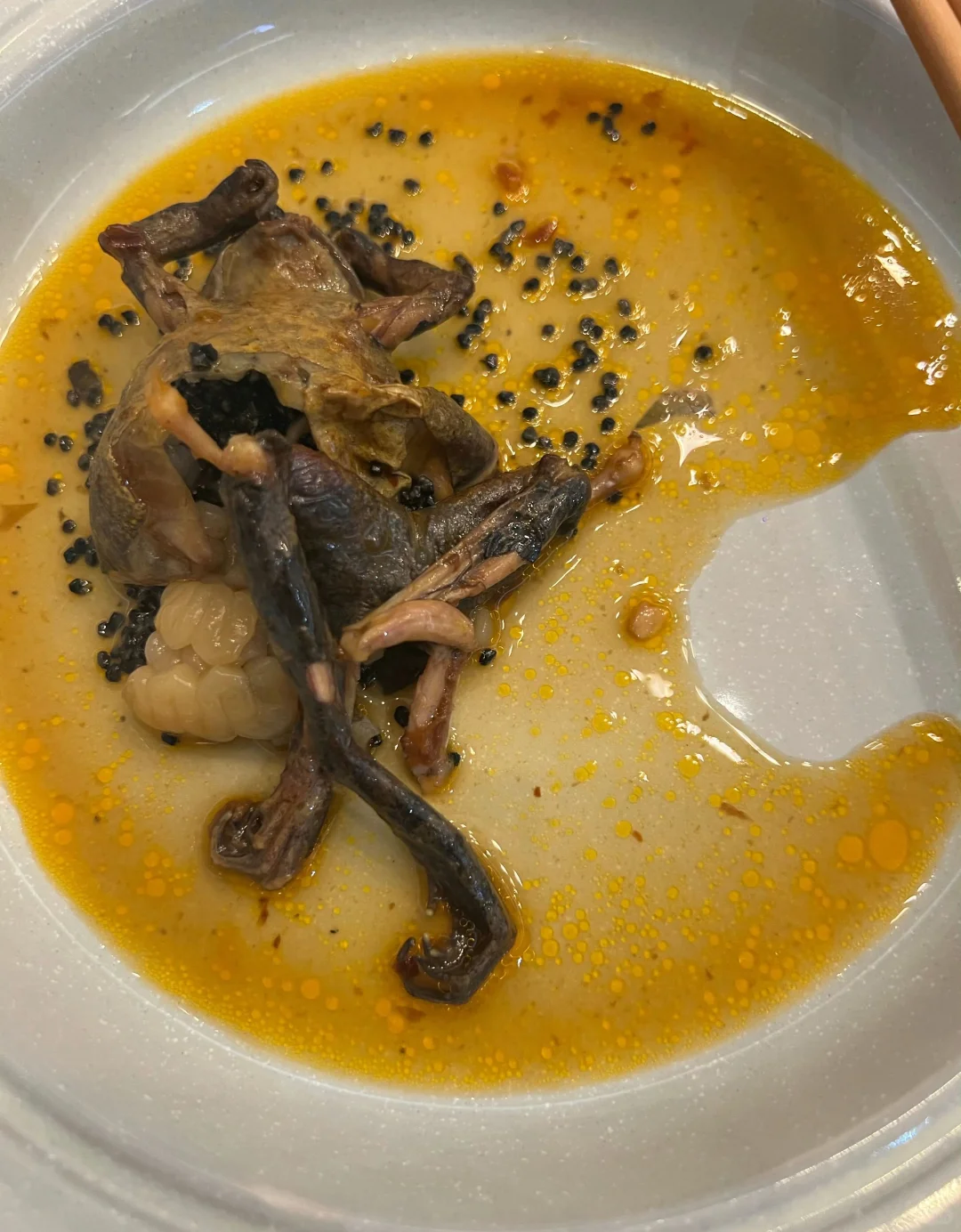 第一次吃林蛙（养殖版）有点美味呀