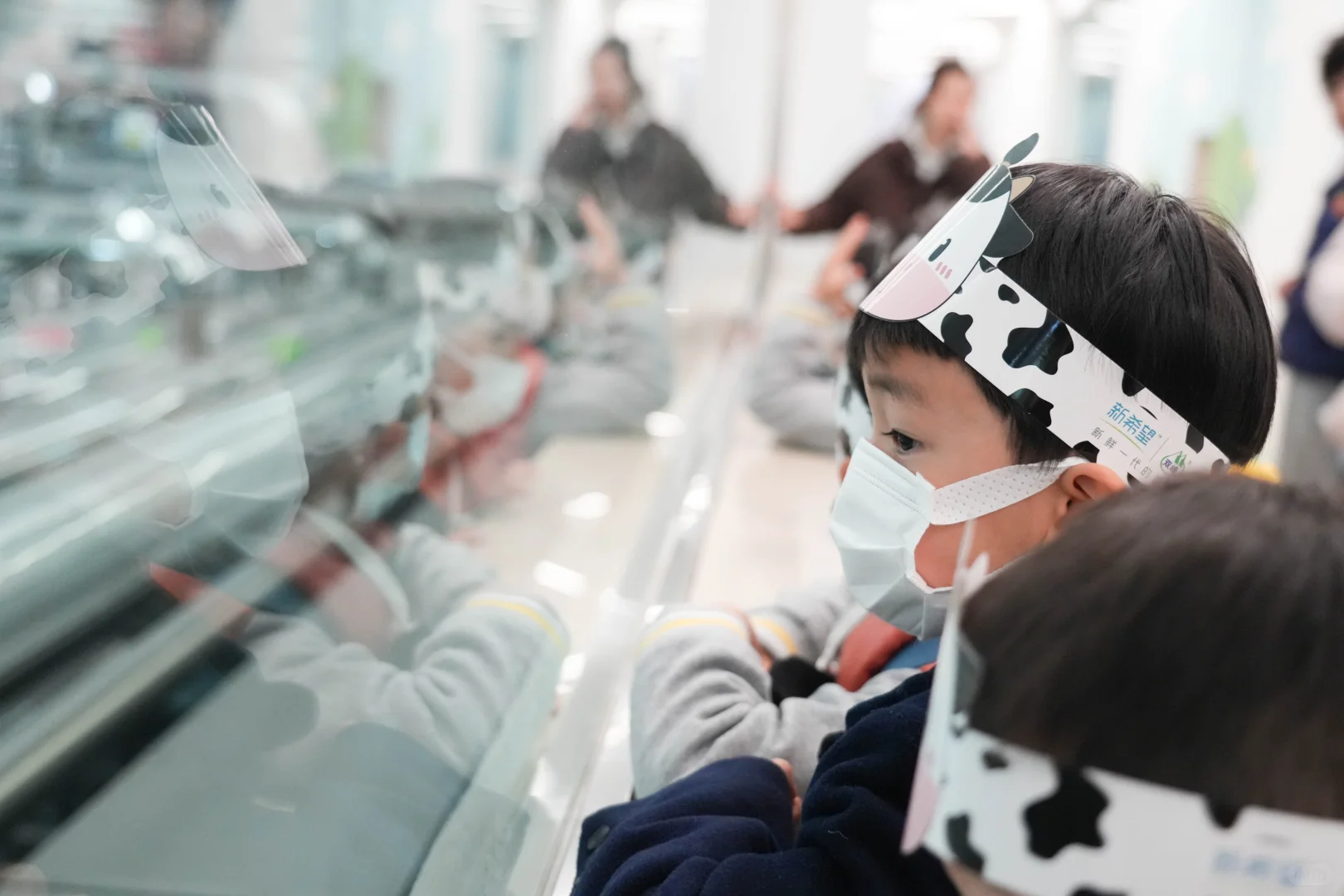 小世界萌娃们的牛奶工厂探秘记