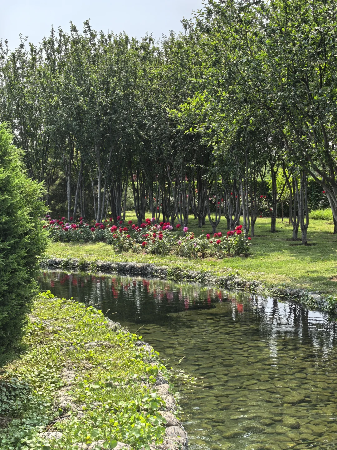 这不是公园，是污水处理厂