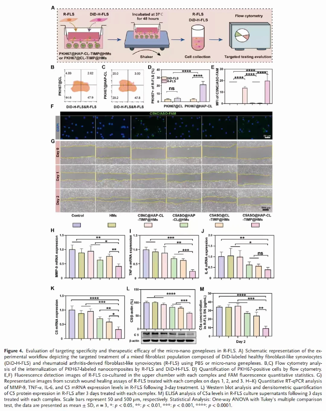 ?补体系统遇上“智能水弹”治疗RA