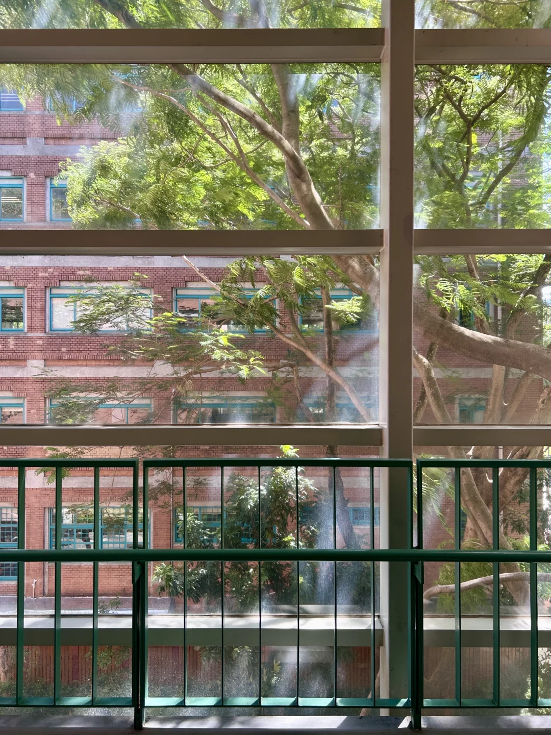 台湾交换｜台大图书馆泡馆指南