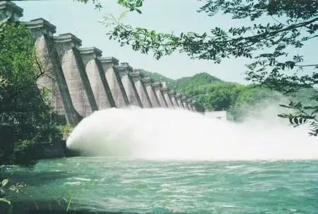 绿色能源的力量：理解可再生能源