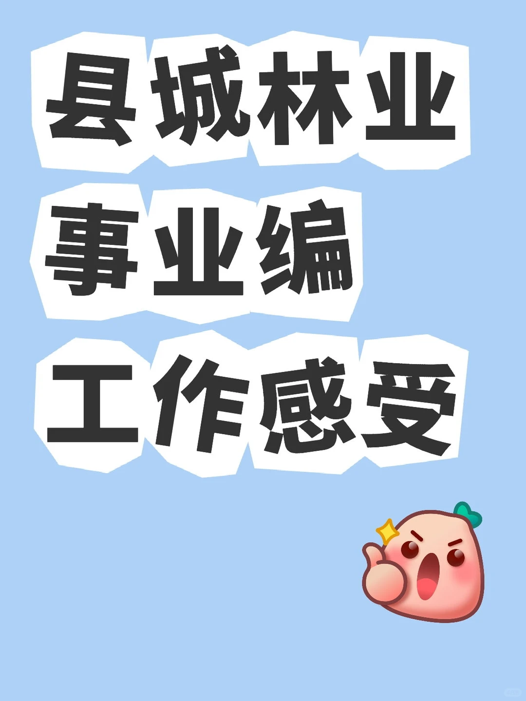 县城事业编太好了