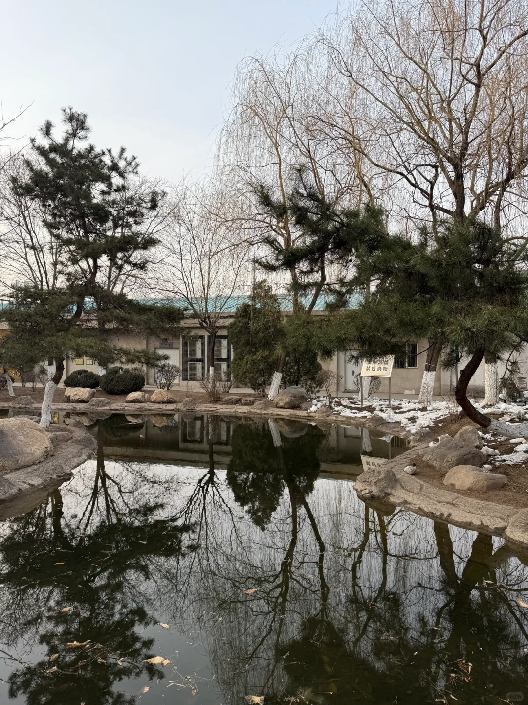 欢迎学弟学妹加入大美SYU！