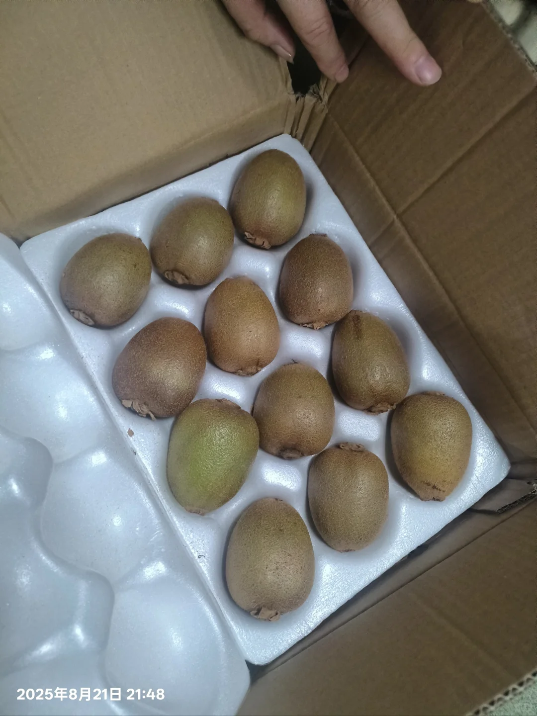 去芭芭农场种果树领水果啦～